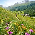 Chamois Blanc 2b - Comfortable Mont Blanc Haven Шамони